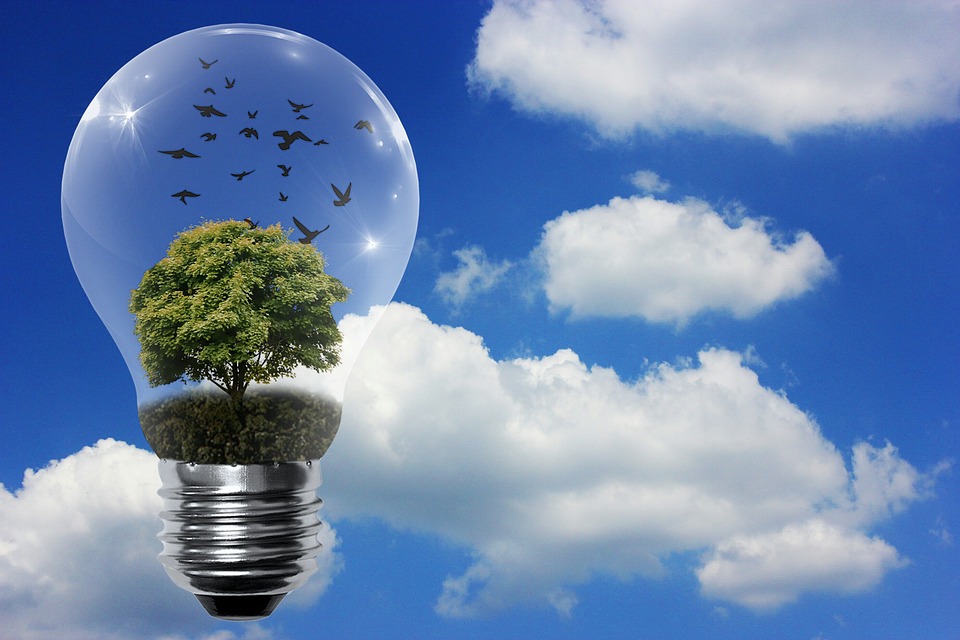 Energie rinnovabili: cosa sono e a che cosa servono